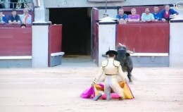 284799939_556481436190856_5400798702772936376_n.jp