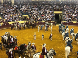 Cortesias -C.Pequeno 10.10.2019.png