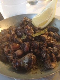 cerevejaria vilamoura