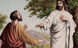 21º Domingo do TC - B - 22 de agosto.jpg