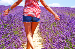 Plateau De Valensole Plateau De Valensole