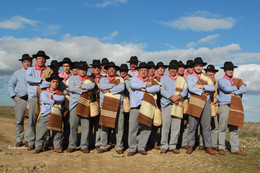 ganhoes de castro verde www.seminario-natural.pt.j