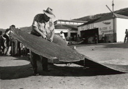 fabrica baleeira sibil.jpg