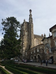 IMG_1313.JPG IMG_1313.JPG