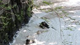 rio tejo.jpg rio tejo.jpg