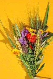 espiga.jpg espiga.jpg