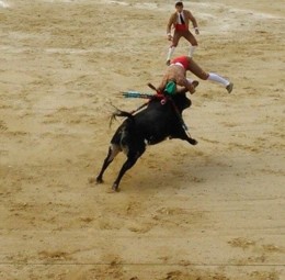 Fernando Montoya.JPG