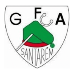 Emblema Grupo de Santarém.png