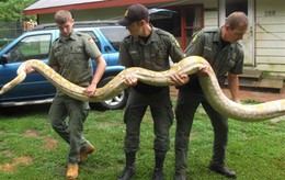 ng4604516.jpg ng4604516.jpg