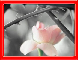 correção fraterna.jpg