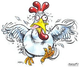 85b8b38edca9fc8997655a5303e4e744--chicken-humor-mo
