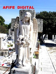 7438011_WHKs0.jpg 7438011_WHKs0.jpg