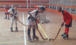 HOQUEI.gif HOQUEI.gif