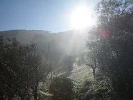 Pauzinho e Lierac 018.JPG