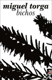 bichos.jpg bichos.jpg