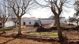 image005.jpg image005.jpg