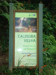 DSC02648.JPG DSC02648.JPG