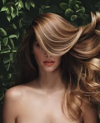 Phyto manequim site.jpg