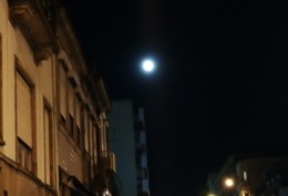 IMG_20190324_082049 (1).jpg