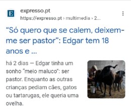 WhatsApp Image 2023-09-02 at 17.45.23.jpeg