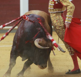 Toureiro.png Toureiro.png