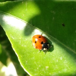 IMG_20240416_105445 - Cópia.jpg