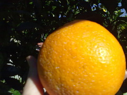 01022016929.jpg 01022016929.jpg