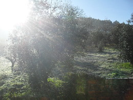 Pauzinho e Lierac 016.JPG