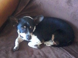 IMG_20170403_092353.jpg IMG_20170403_092353.jpg