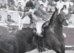 Luís Rouxinol-Par de bandarilhas.png