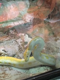 Photo 20-12-15, 13 14 20.jpg Photo 20-12-15, 13 14 20.jpg