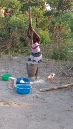 30º Domingo do TC - 25 de outubro.jpg