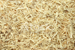 19828081-wooden-sawdust-and-shavings-background.jp