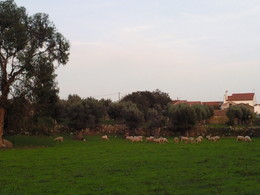 Foto1581.jpg. Foto de D.AP.L. 2014 Foto1581.jpg. Foto de D.AP.L. 2014