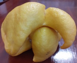 20210319_115215.jpg 20210319_115215.jpg