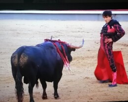 Roca Rey-Las Ventas-11.06.2024.jpg