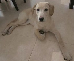 2016-01-07_13.05.15.jpg 2016-01-07_13.05.15.jpg