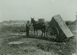 descarga de lixo de lisboa arquivo muniicpal lisbo descarga de lixo de lisboa arquivo muniicpal lisbo