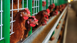 img_905x603$2016_06_14_19_00_34_544013_im_63601527