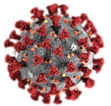 covid.jpg