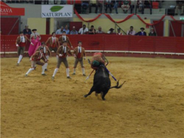 Francisco Tadeu Garcia-- 2009- Toiro de Alcurrucé