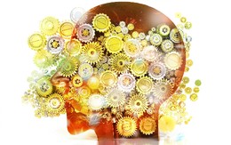 curso-superior-em-psicologia.jpg curso-superior-em-psicologia.jpg