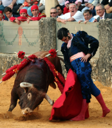 Morante-Toureiro de aroma.png