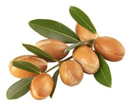 argan castanho.jpg