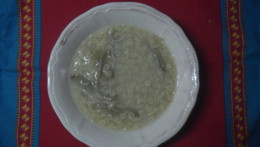 DSCN8732.JPG DSCN8732.JPG