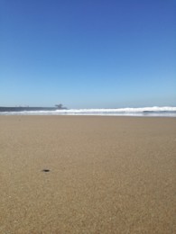 90015080_2911242295669292_1754612887671799808_n.jp