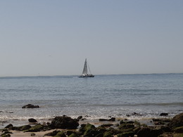 DSC08878.JPG DSC08878.JPG