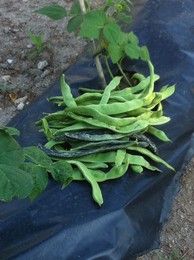 fotografia 2 (2).JPG