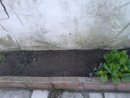 canteiro 7 e 8 apos.jpg