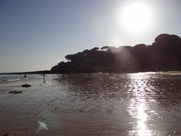 DSC09161.JPG DSC09161.JPG